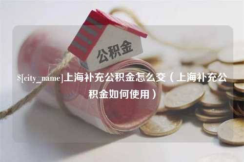 鹿邑上海补充公积金怎么交（上海补充公积金如何使用）